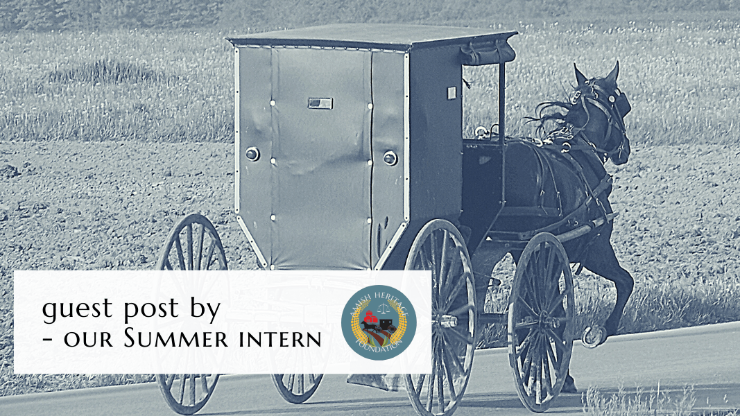 Amish 101: Top 5 Resources to Better Educate You on the Amish