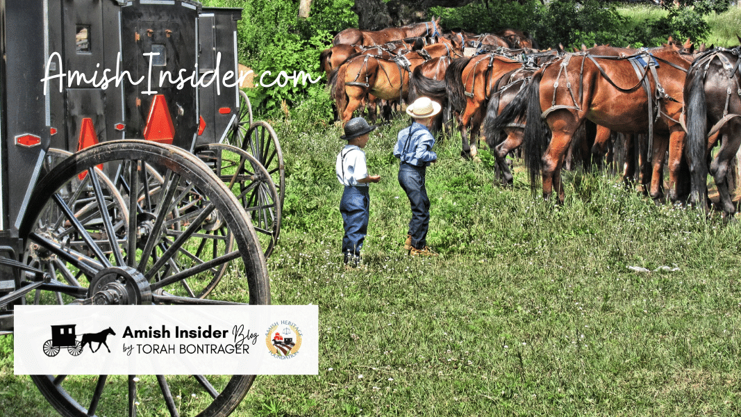 Handwriting Isn’t Just for the Amish. See the Rewards in Only 12 Minutes!